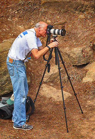 Greg Lambert, Photographer