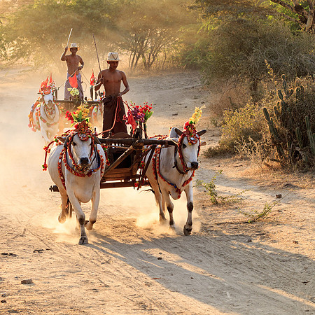Horse Drawn