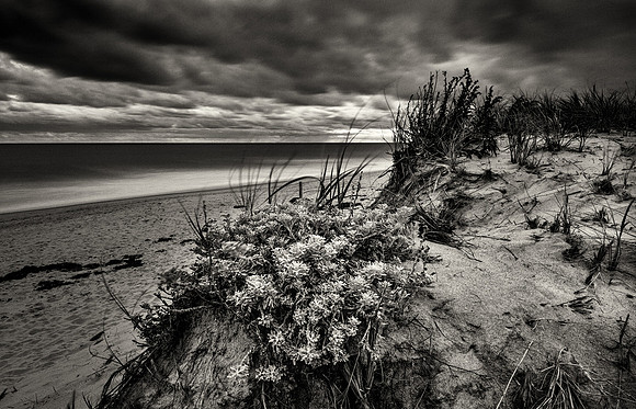 Moody Beach