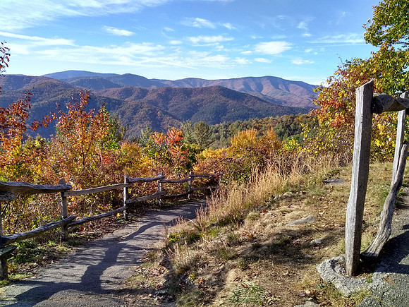 Autumn Walk