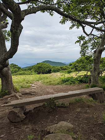 Craggy Garden Bench