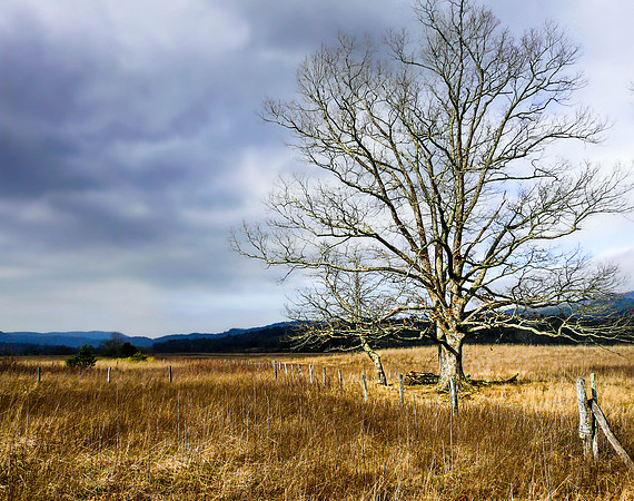 1_Cades Cove