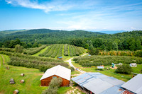 Skytop Orchard