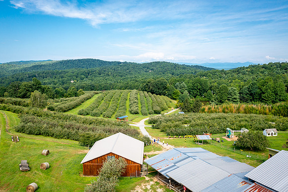 Skytop Orchard